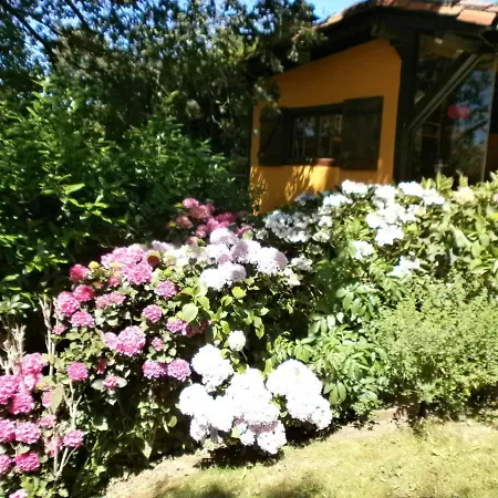 Holiday home Preciosa Casa Con Espectacular Jardin